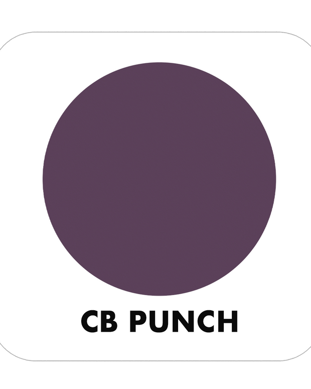 PROJECT PAINT PUNCH-INDOOR - Color Baggage