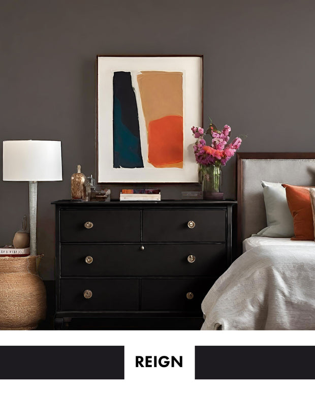 PROJECT PAINT REIGN-INDOOR - Color Baggage
