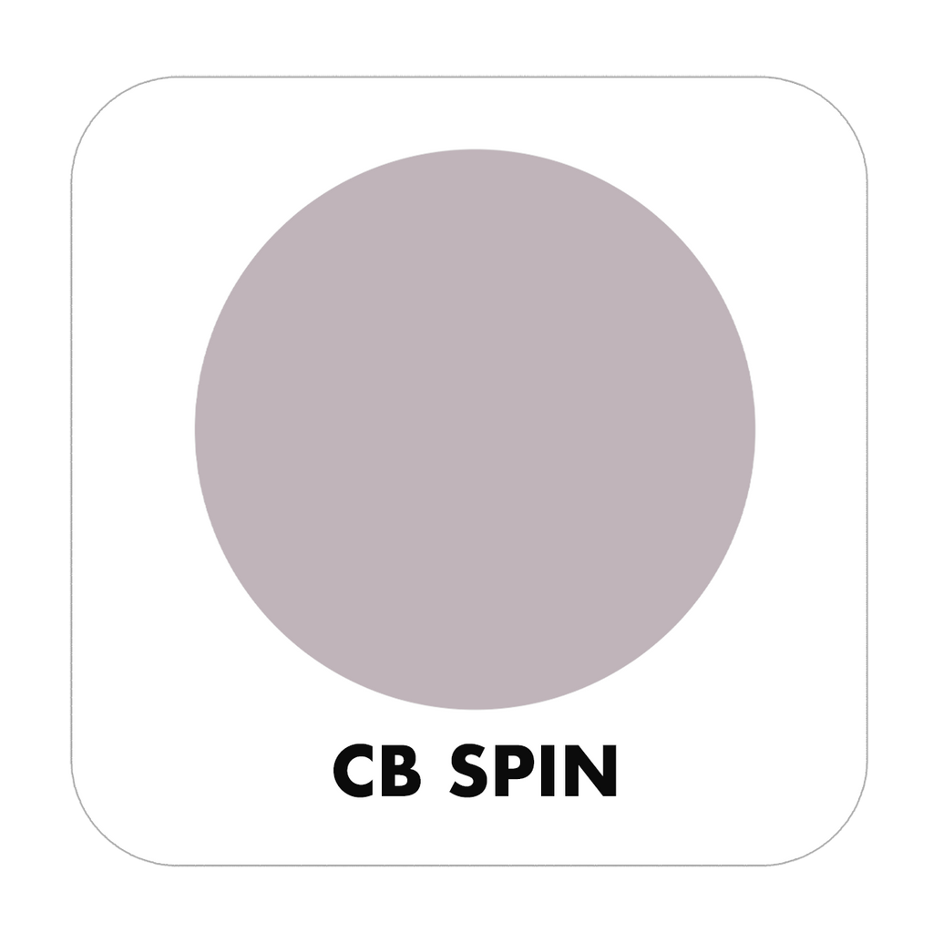 PROJECT PAINT SPIN-INDOOR - Color Baggage