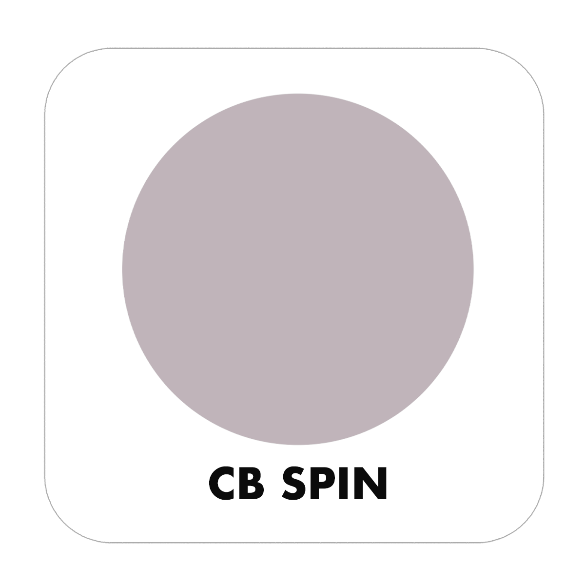 PROJECT PAINT SPIN-INDOOR - Color Baggage