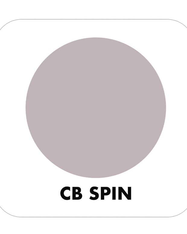 PROJECT PAINT SPIN-INDOOR - Color Baggage