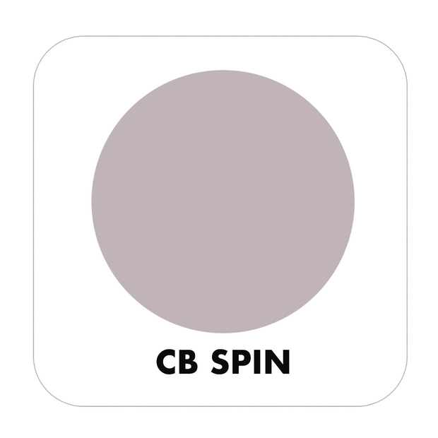 PROJECT PAINT SPIN-INDOOR - Color Baggage