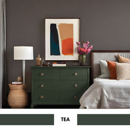 PROJECT PAINT TEA-INDOOR - Color Baggage