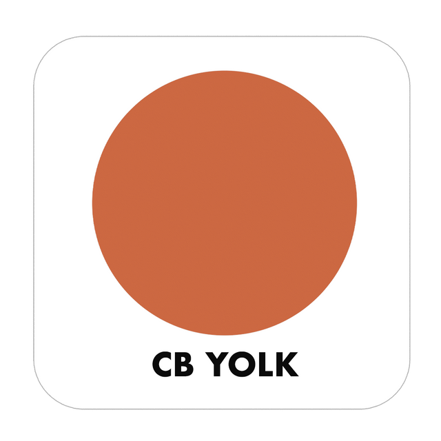 PROJECT PAINT YOLK-OUTDOOR - Color Baggage