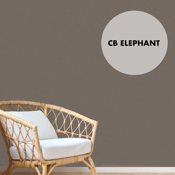 CB ELEPHANT - Color Baggage