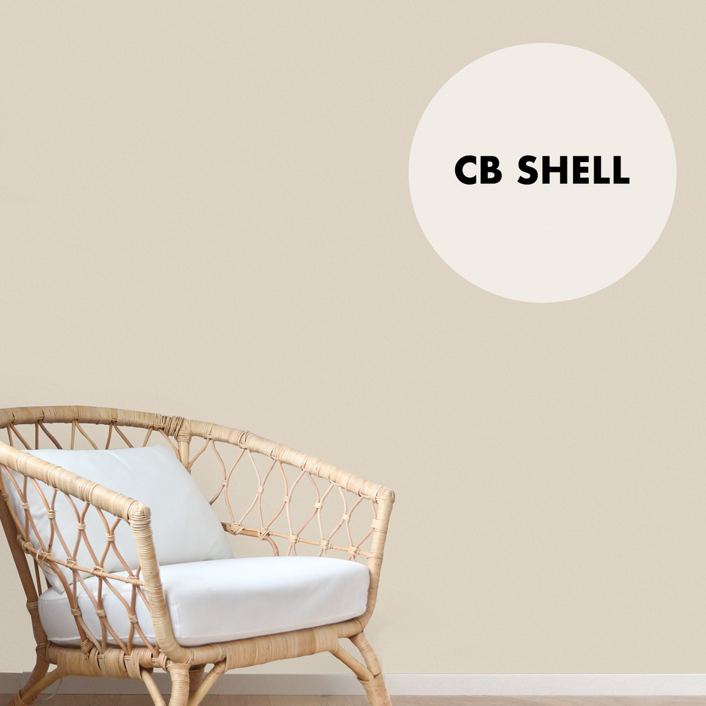 CB SHELL - Color Baggage