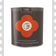 Color Baggage | SHOP Paint