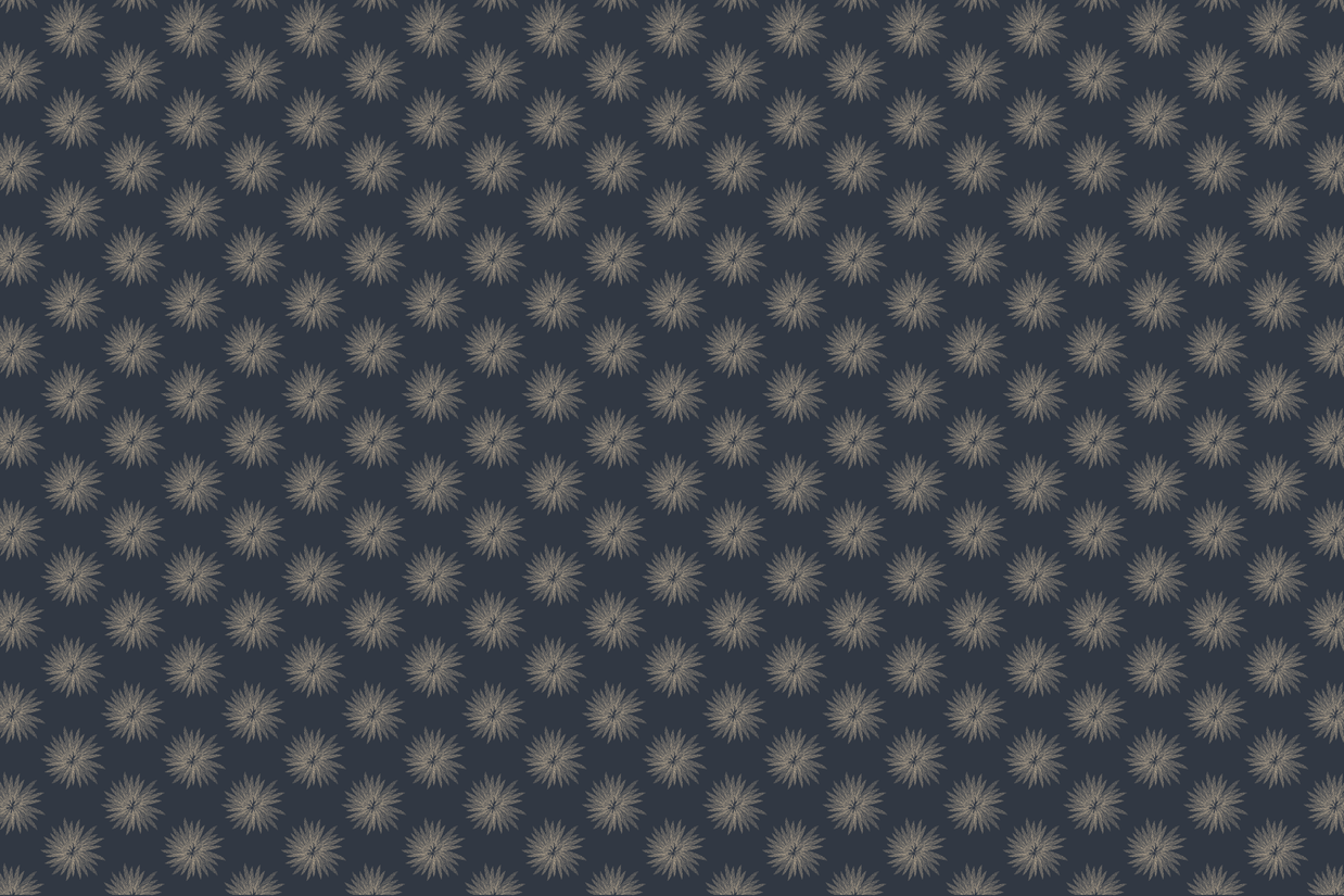 Wallpaper | Dandi