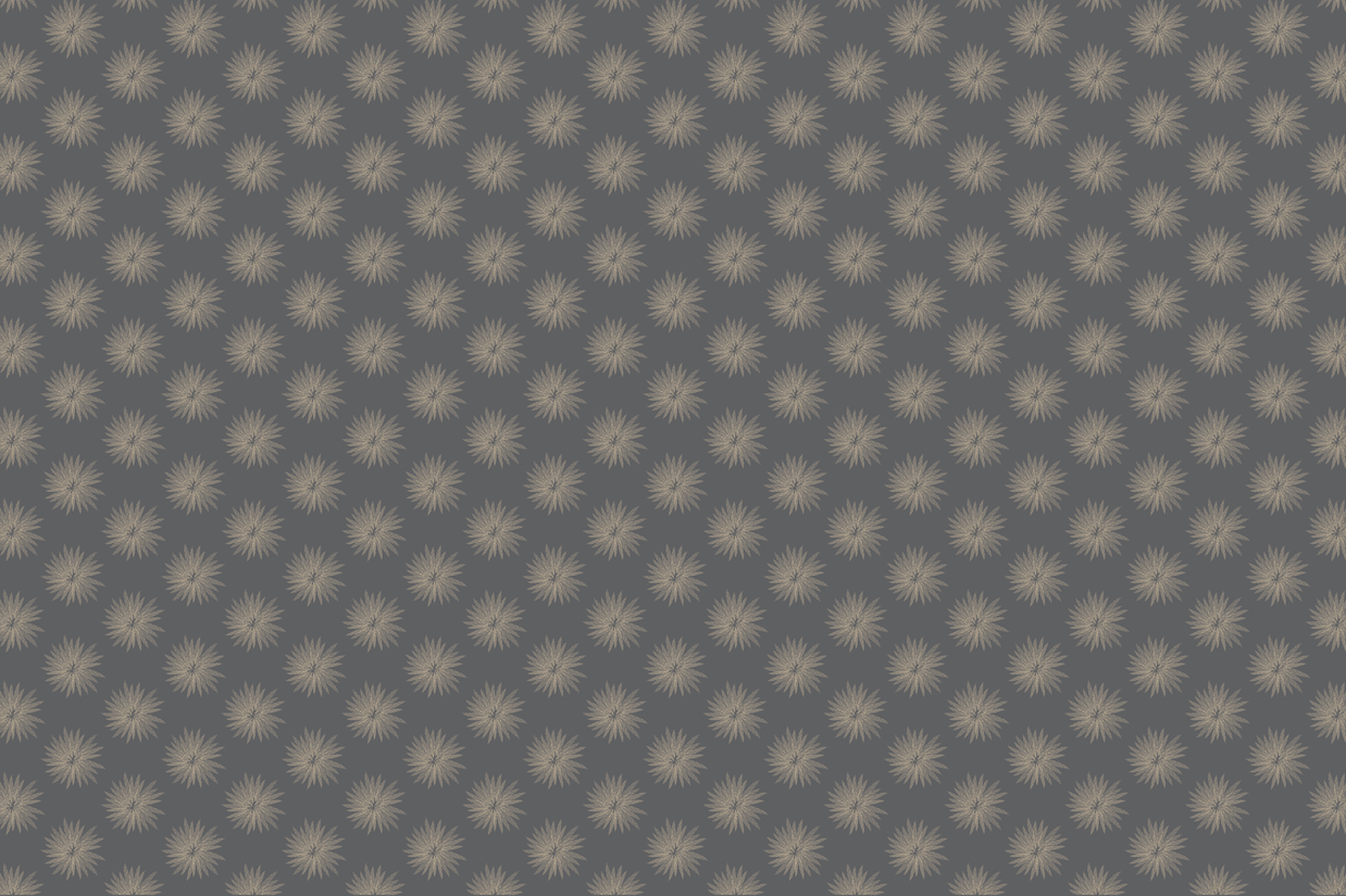 Wallpaper | Dandi