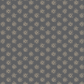 Wallpaper | Dandi