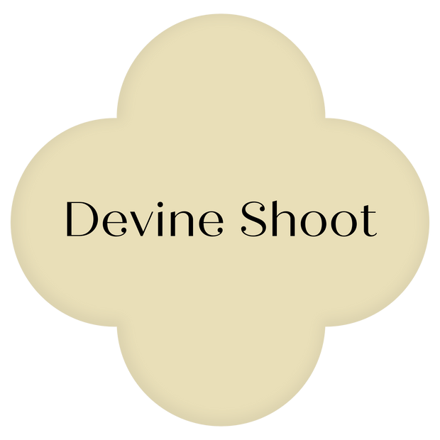 Devine Shoot