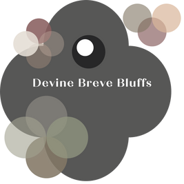Devine Java