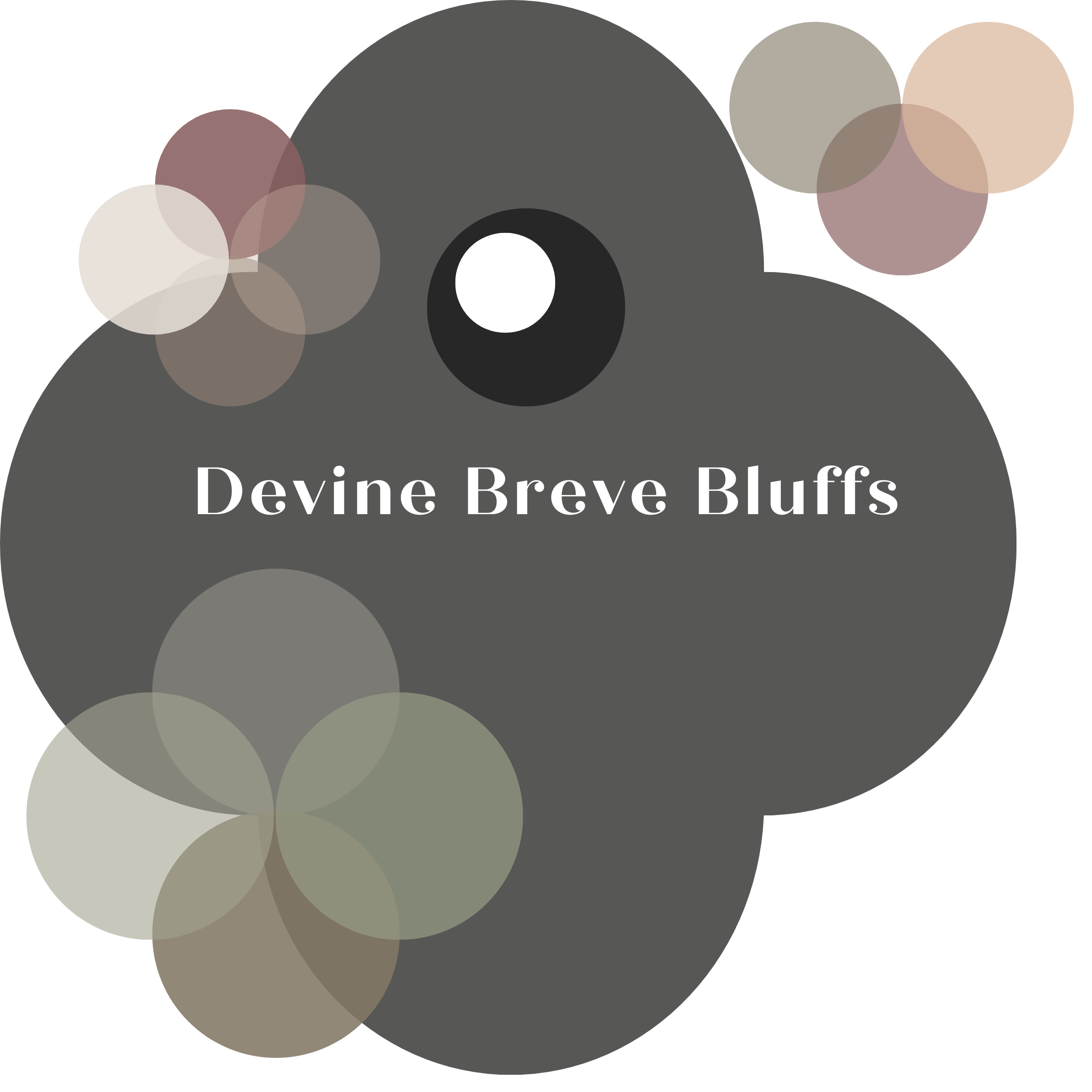 Devine Java