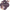 Devine Pinoir
