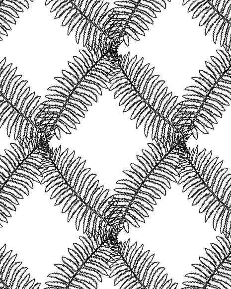 Wallpaper | Fernlink