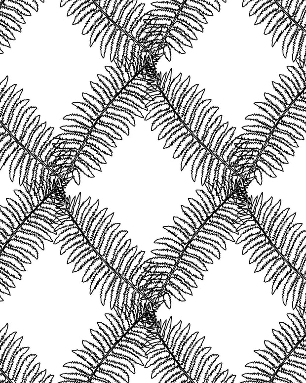 Wallpaper | Fernlink - Color Baggage