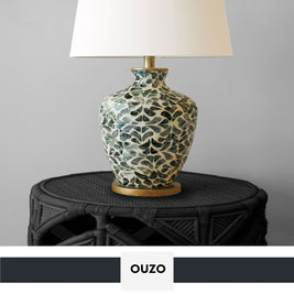 PROJECT PAINT OUZO-INDOOR - Color Baggage