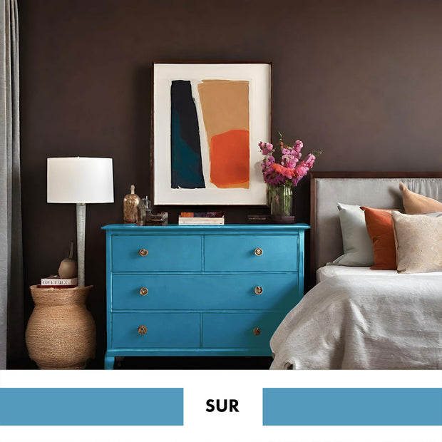 PROJECT PAINT SUR-INDOOR - Color Baggage