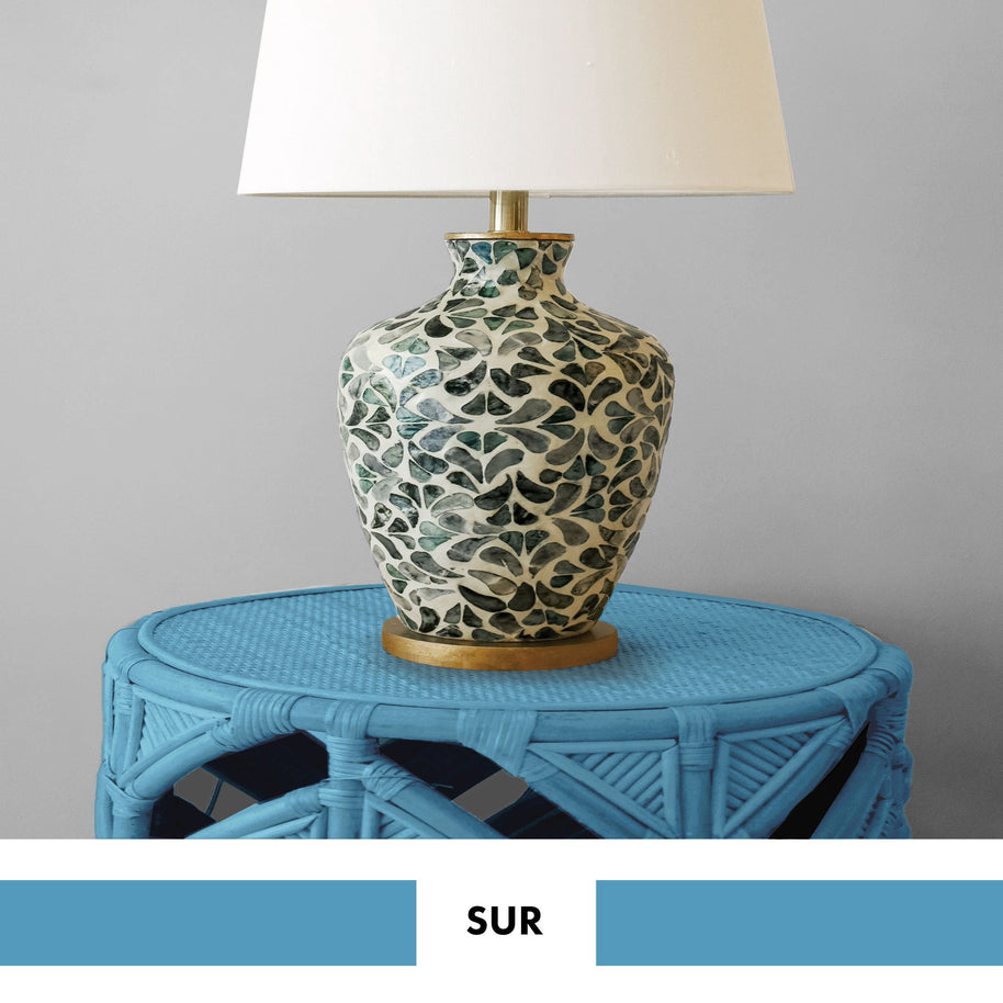 PROJECT PAINT SUR-INDOOR - Color Baggage